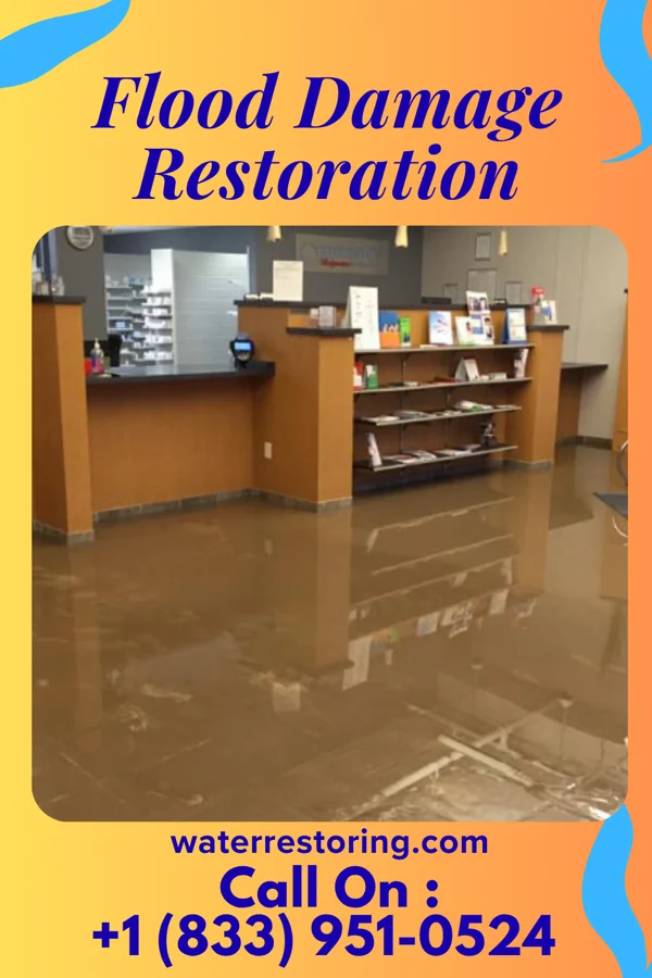 Flood Damage Restoration in Barnesville, GA