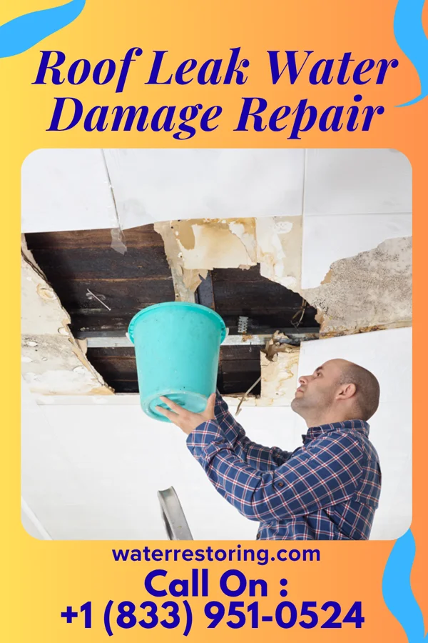 Roof Leak Water Damage Repair in Barnesville, GA