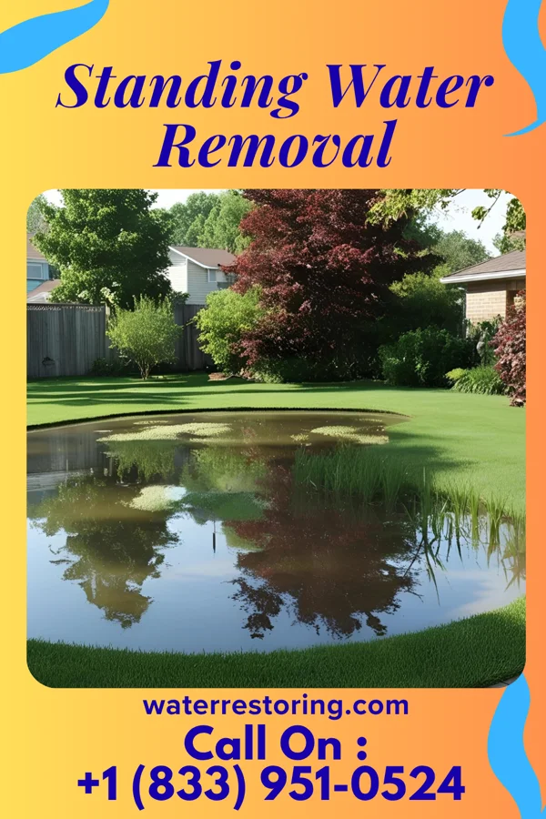 Standing Water Removal in Barnesville, GA